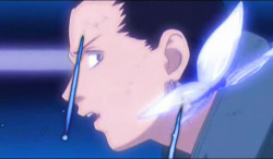 Shikamaru e la farfalla